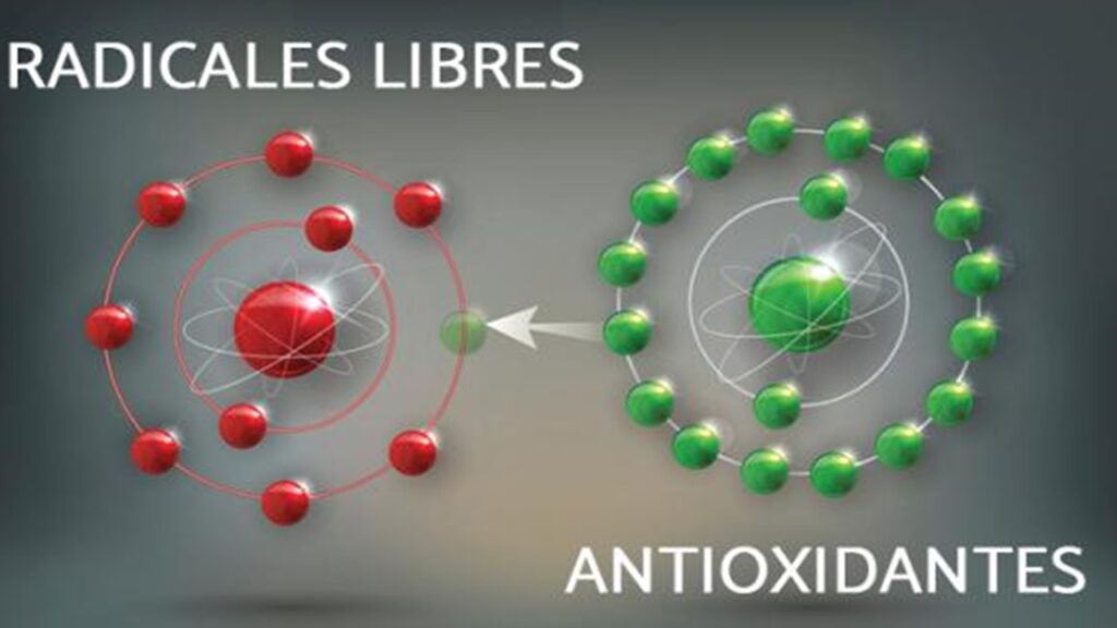 Modelo 3D que representa moléculas de radicales libres y antioxidantes en interacción